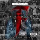 Triple F Life: Friends, Fans & Family cover