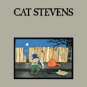 Teaser and the Firecat cover