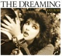 The Dreaming cover