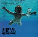 Nevermind cover