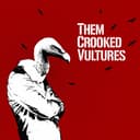 Them Crooked Vultures cover