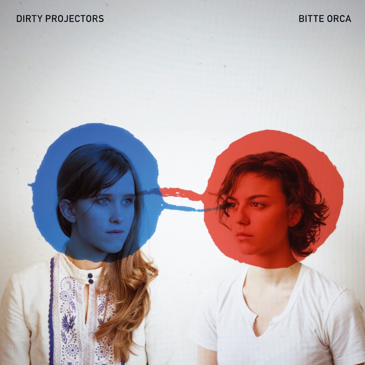 Bitte Orca by Dirty Projectors