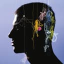 Corps et armes cover