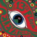 The Psychedelic Sounds of the 13th Floor Elevators cover