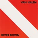 Diver Down cover