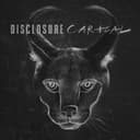 Caracal cover